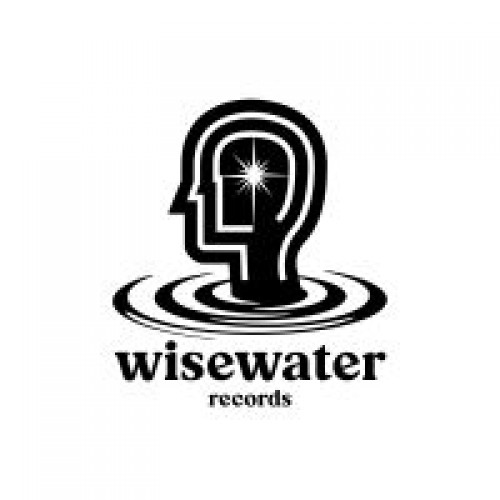 wisewaterrecords.com Image