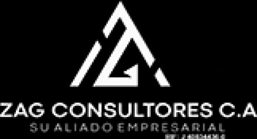 zagconsultores.com Image