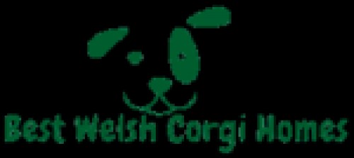 bestwelshcorgihomes.com Image