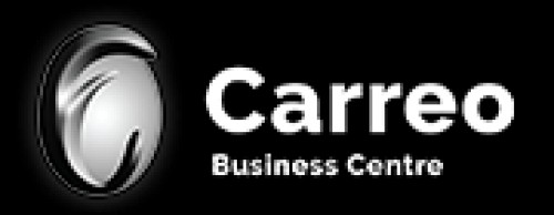 carreobusiness.com Image