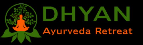 dhyanayurvedaretreat.com Image