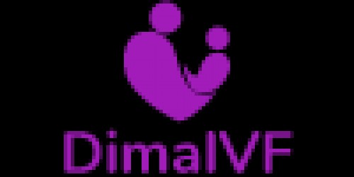 dimaivf.com Image