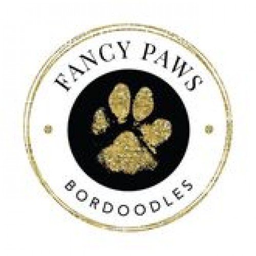 fancypawsbordoodles.com Image