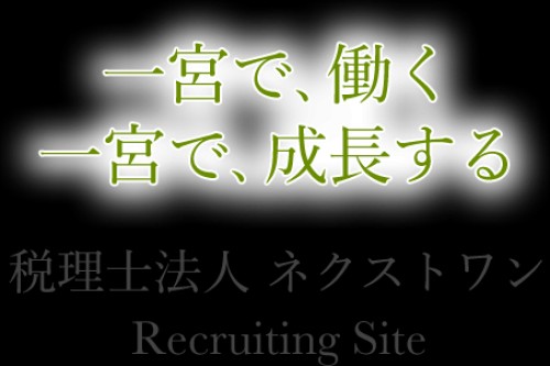 recruit-nextonetax.com Image