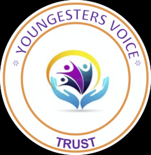 youngstersvoicetrust.com Image