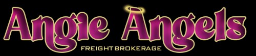 aafreightbrokerage.com Image