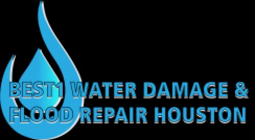 best1waterdamagefloodrepairhouston.com Image