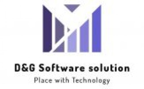 dgsoftwaresolution.com Image