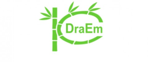 draelenamiguel.com Image