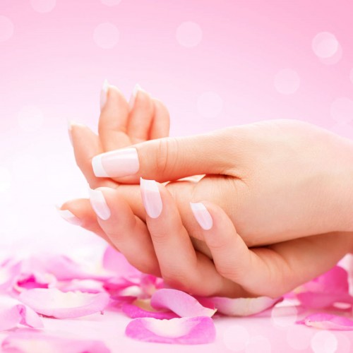 envynails-vabeach.com Image