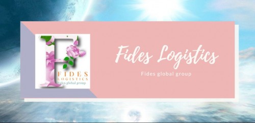 fides-logistics.biz Image