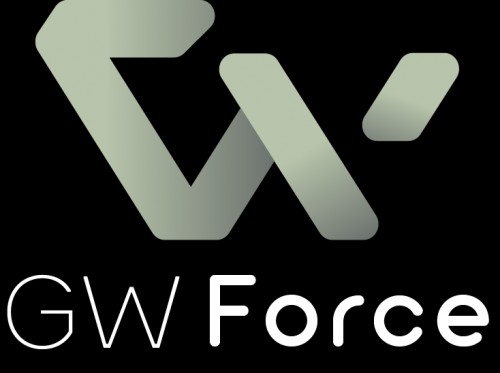 gw-force.com Image