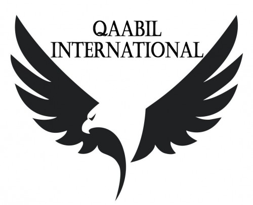 qaabilinternational.com Image