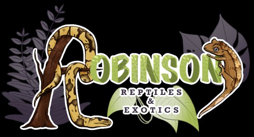 robinsonreptiles.com Image