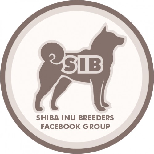 shibainubreeders.info Image