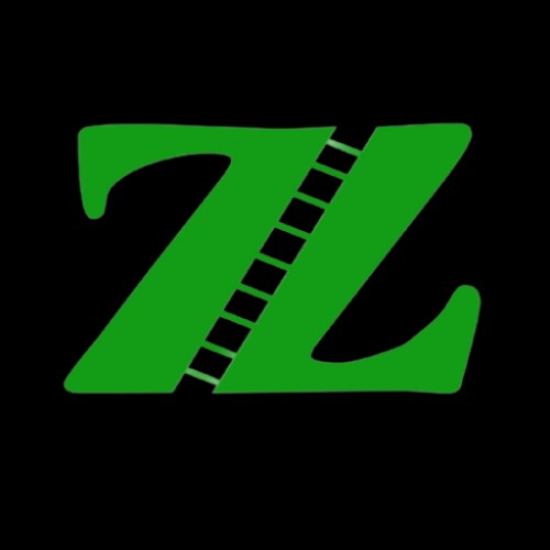 zeeshanoes.com Image