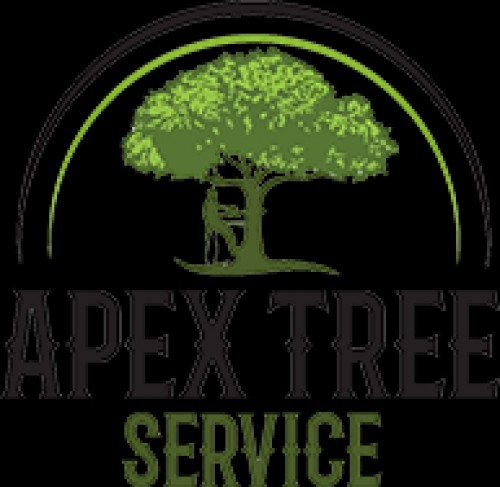 apex-treeservice.com Image