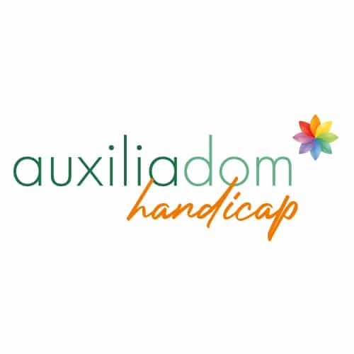 auxiliadom-handicap.com Image