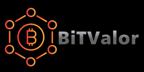 bitvalor.info Image