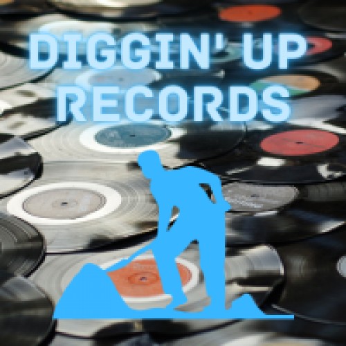 digginuprecords.com Image