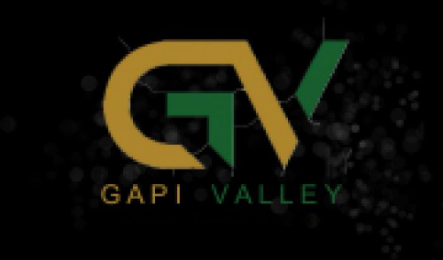 gapivalley.biz Image