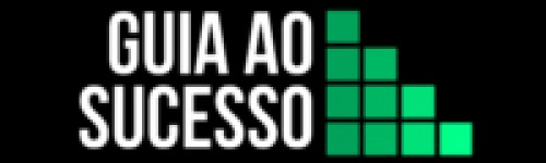 guiaaosucesso.com Image