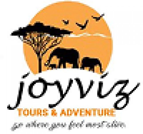 joyviztours.com Image