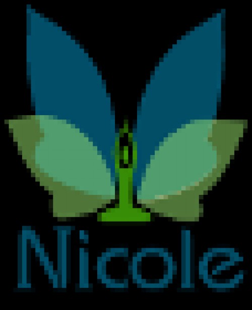 nicole-sa.com Image