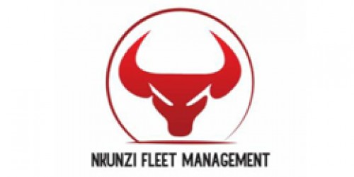 nkunzifleetmanagement.com Image