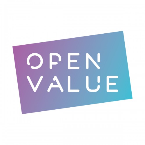 openvalue.pro Image