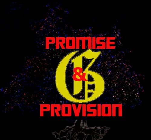 promiseprovision.com Image