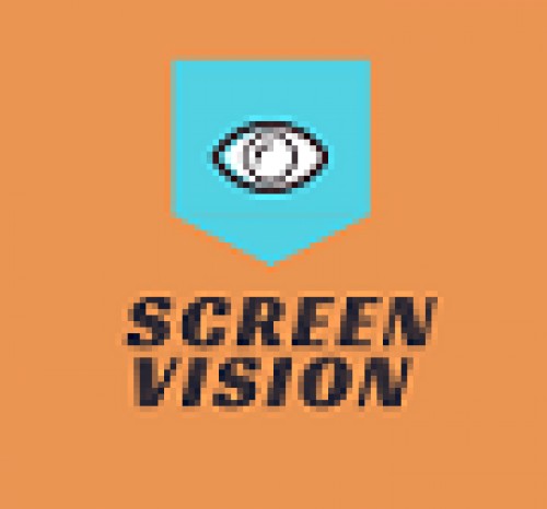 screenvisiondisplay.com Image