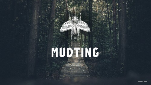 themudting.com Image