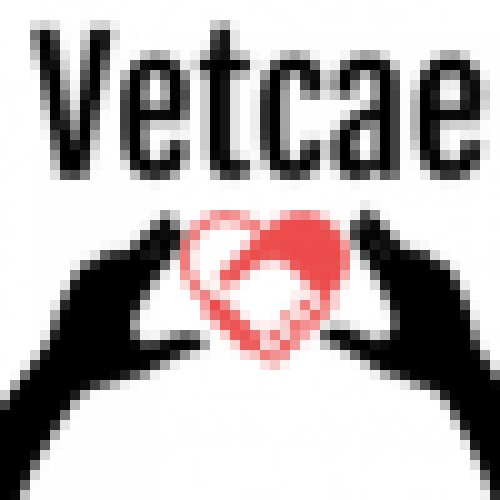 vetcae.com Image