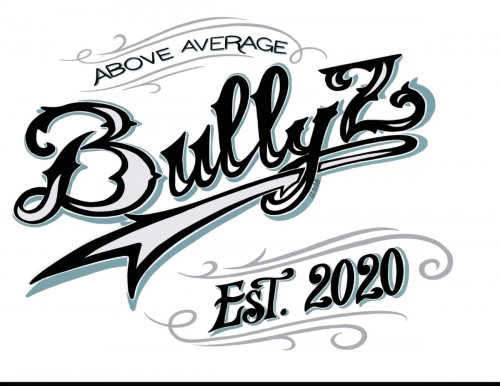 aboveaveragebullyz.com Image