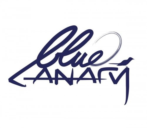 bluecanaryagency.com Image