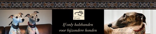 ifonlyhalsbanden.com Image