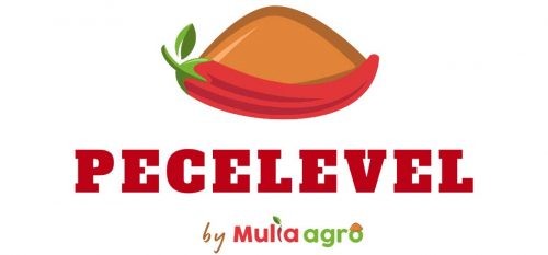 pecelevel.com Image