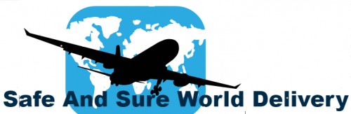 safeandsureworlddeliveryservice.com Image