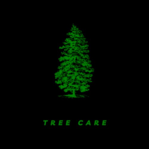 treeserviceinjohnsoncity.com Image