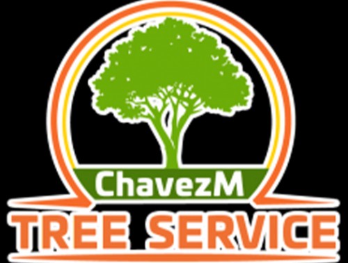 treeservicesantioch.com Image