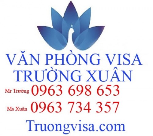 truongvisa.com Image