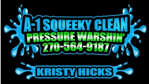 a1squeekycleanpressurewashing.com Image