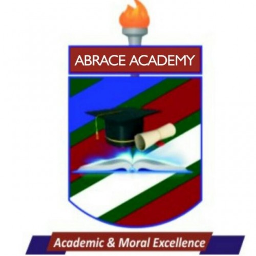 abraceacademy.com Image