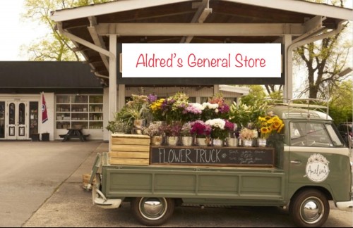 aldredsgeneralstore.com Image