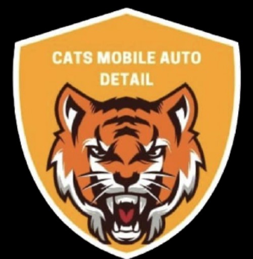 catsmobileautodetail.com Image