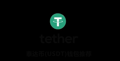 download-usdt.com Image