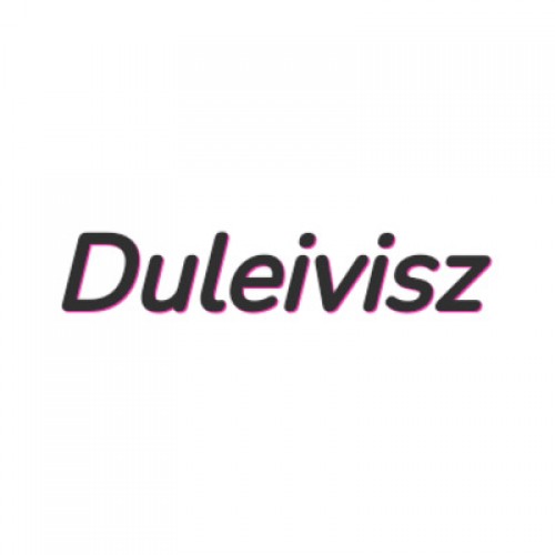 duleivisz.com Image