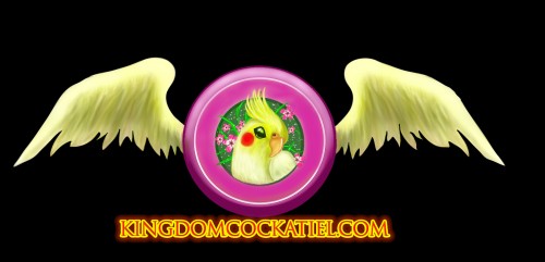 kingdomcockatiel.com Image