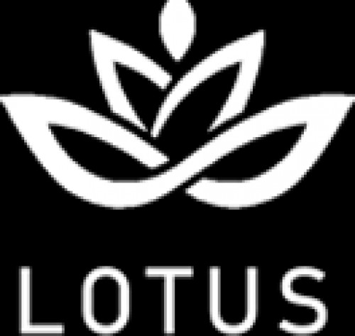 lotustowers.com Image